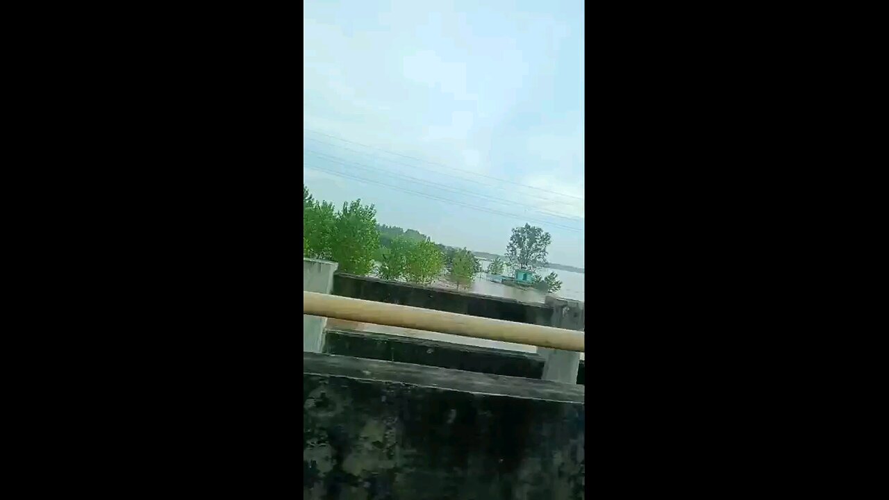 satisfying Video