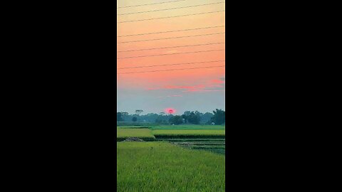 Bangla Islamic Content Part-2