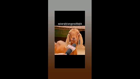 कहा तक पढी हो