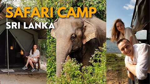 Arriving in Sri Lanka & Epic Safari Camp, Spotting Leopards SRI LANKA SERIES...🇱🇰 🇱🇰 🇱🇰