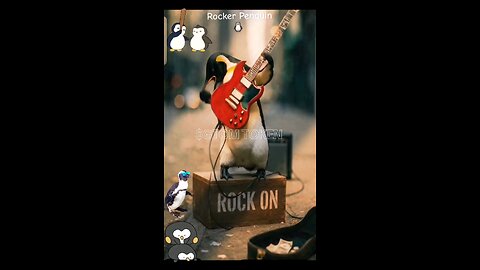 Rocker Penguin. By $GTOM TOKEN