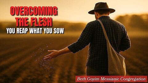 BGMCTV MESSIANIC LESSON 1051 overcoming the flesh you reap what you sow