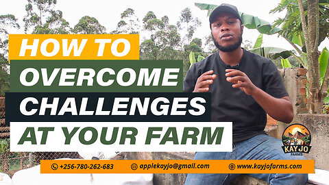 How To Overcome Challenges At Your Goat Farm | ep29 #goatfarming #challenges