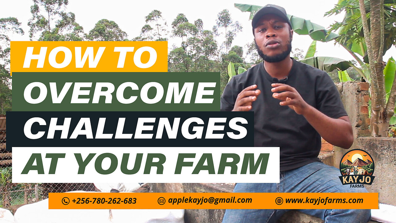How To Overcome Challenges At Your Goat Farm | ep29 #goatfarming #challenges