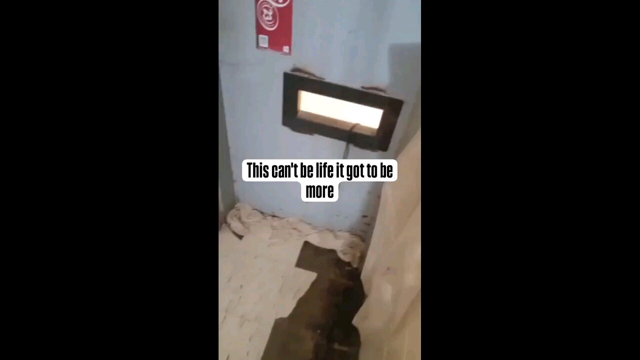 #prisonlife inside #prison