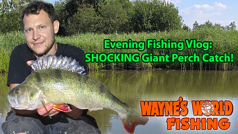 Evening fishing vlog: shocking giant perch catch