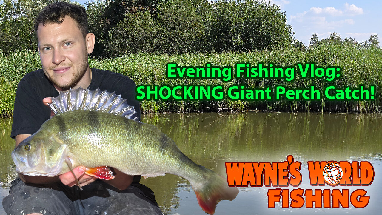 Evening fishing vlog: shocking giant perch catch