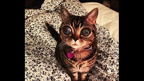 Where Did It Go?