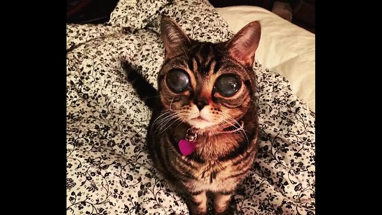 Where Did It Go?