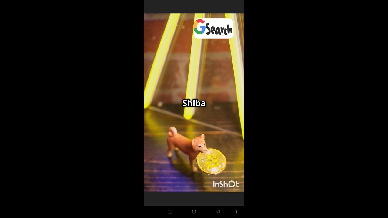 Shiba Inu: ₹1 for 10,000 Coins? Meme Coin or Millionaire Maker?