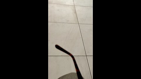 same gendred marriages with gnostic Judas