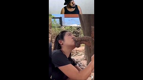 trynottolaugh part 156