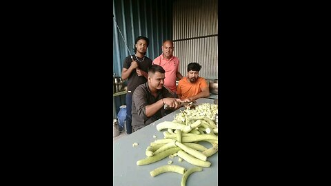 बिल्ली और आदमी