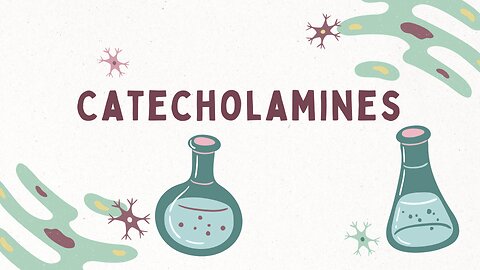 role of the adrenergic receptors