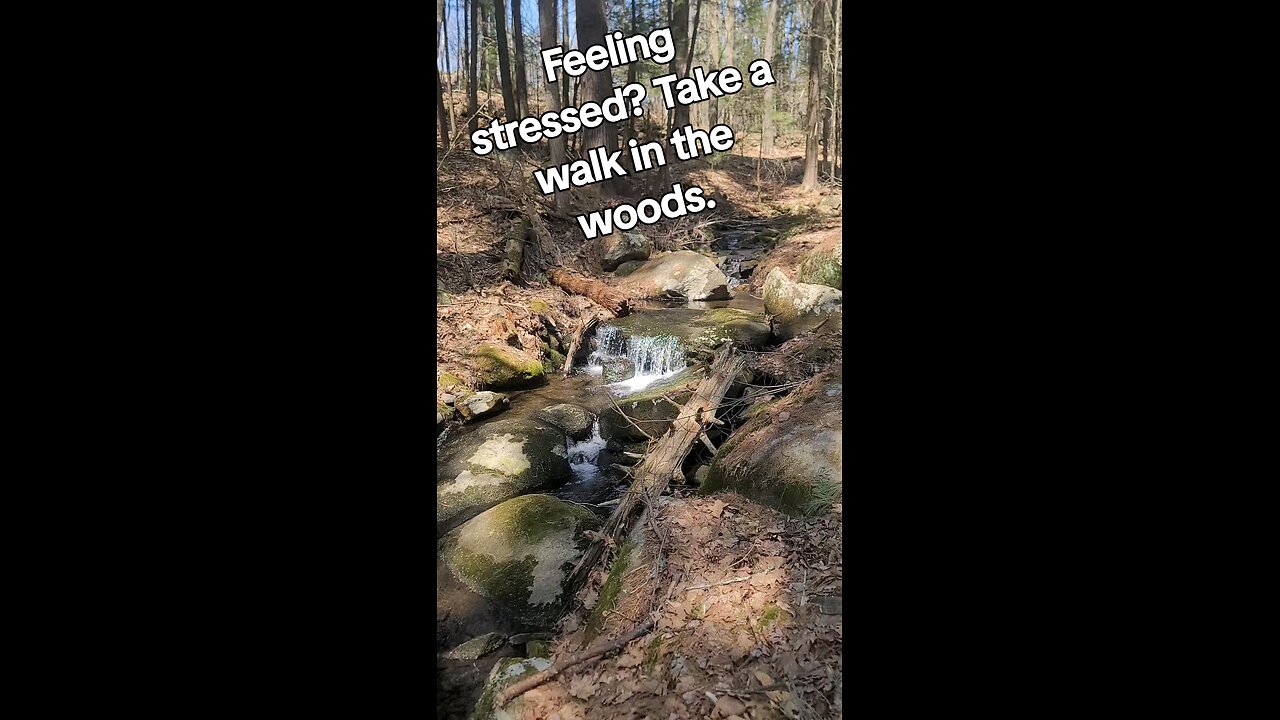 feeling stressed? take a walk in the woods.