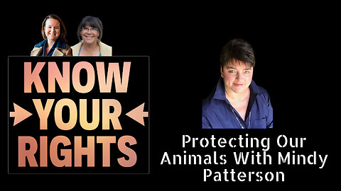 Protecting Our Animals With Mindy Patterson