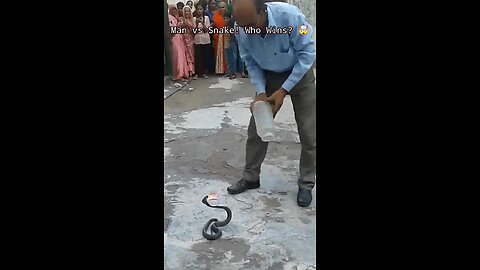 Man Catches Black Snake in a Jar Shocking Real-Life Moment