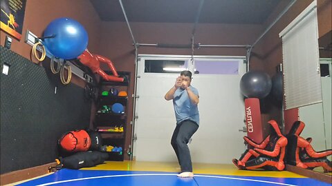 WTD Switchleg SnapHook Kick to Front Kick sequential