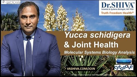 Dr.SHIVA™: Yucca on Joint Health @CytoSolve® Systems Analysis(3/21)