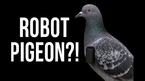 Robotic Pigeon EXPOSED: Hidden Camera Found Inside After Window Collision!