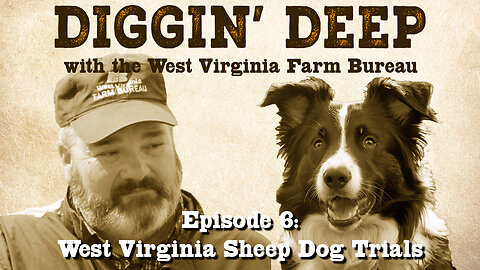 Episode 6 - The West Virginia Sheep Dog Trials