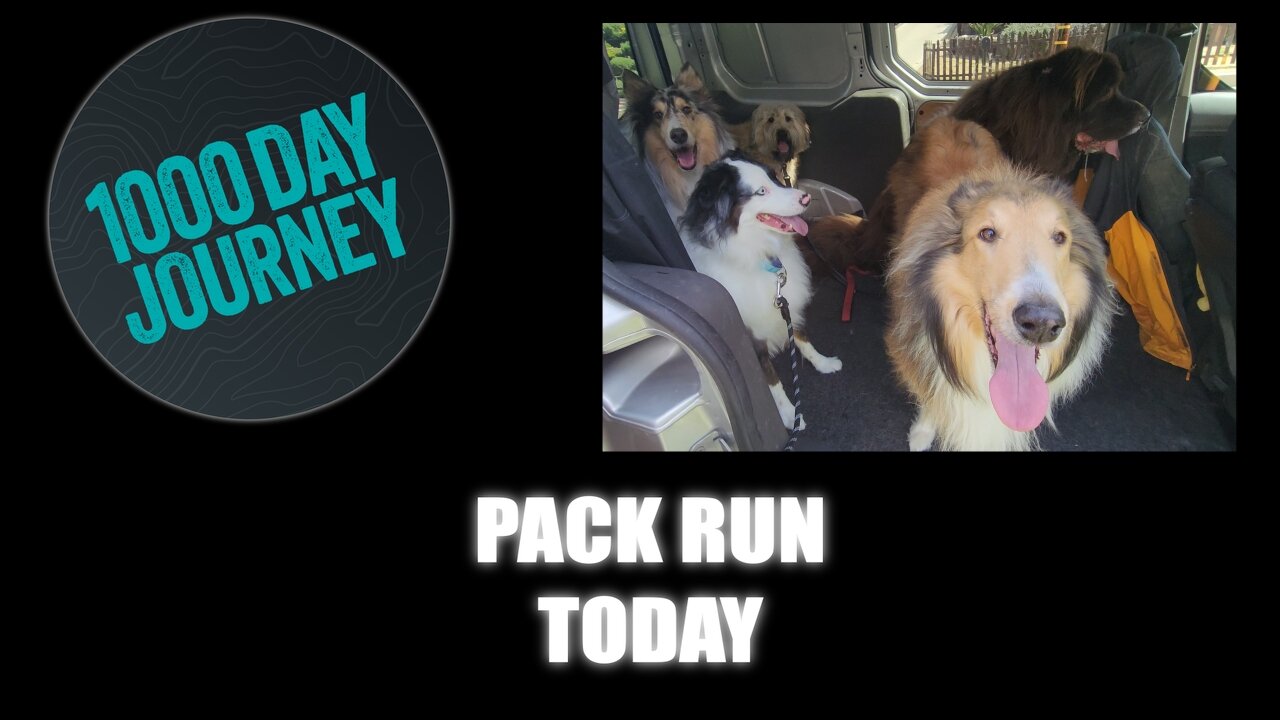 1000 Day Journey 0613 Just a Pack Run Today