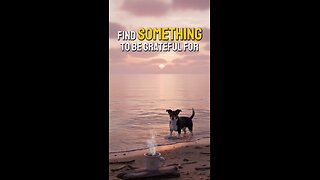 Find Something to Be Grateful For
