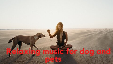 Relaxing music for dogs and pets