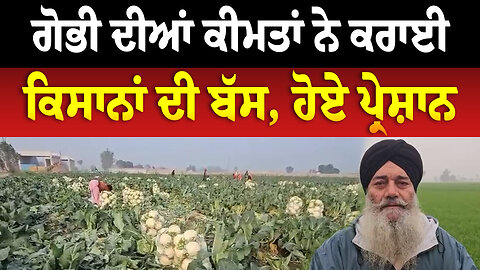 ਗੋਭੀ ਦੀਆਂ ਕੀਮਤਾਂ ਨੇ ਕਰਾਈ ਕਿਸਾਨਾਂ ਦੀ ਬੱਸ, ਹੋਏ ਪ੍ਰੇਸ਼ਾਨ
