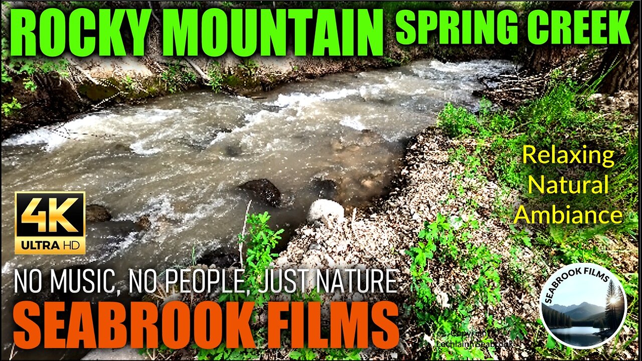 Rocky Mountain Spring Creek: Relaxing Natural Ambiance