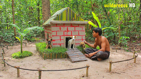 I Built a House For Rescue Puppy in Jungle | Build Dream Dog House