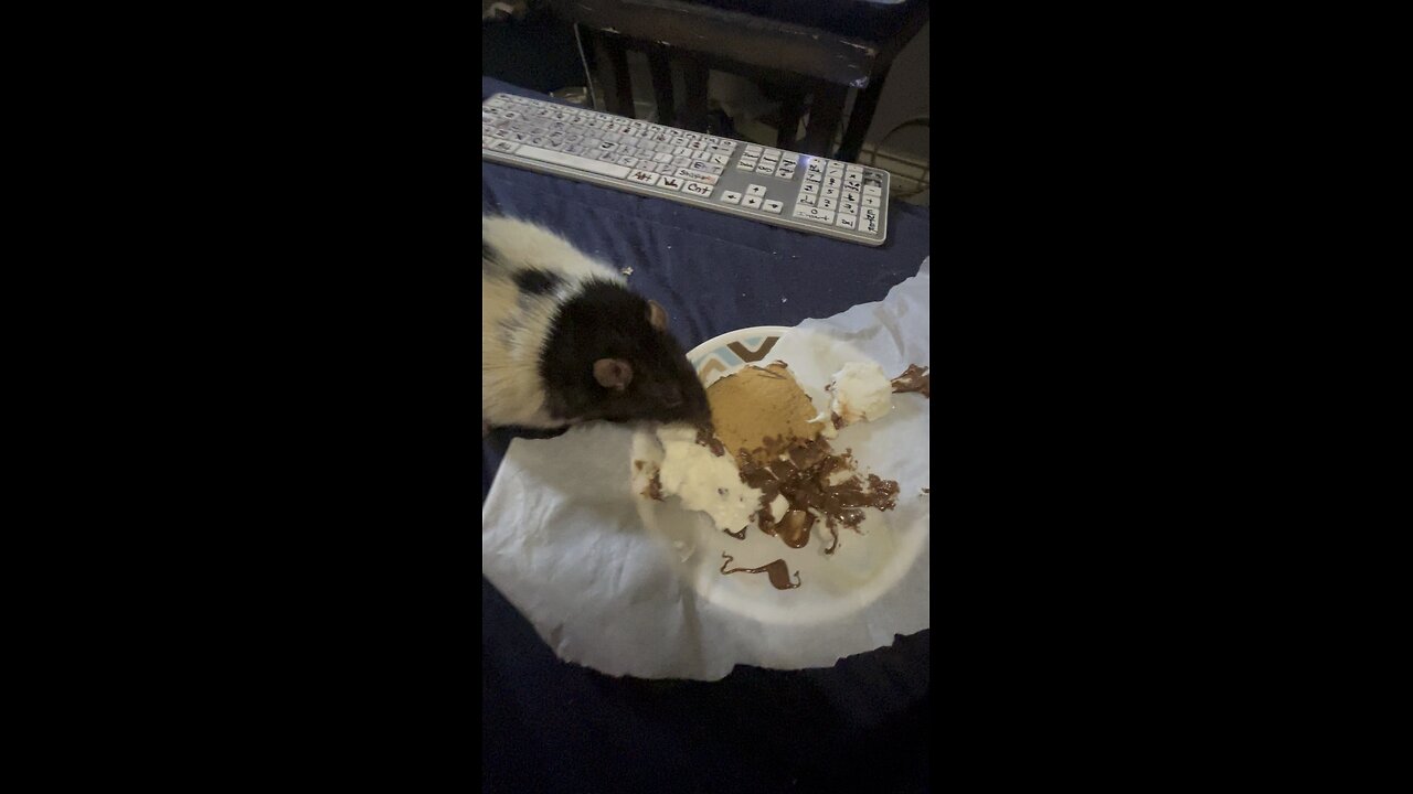 Tupy smores8/17/25