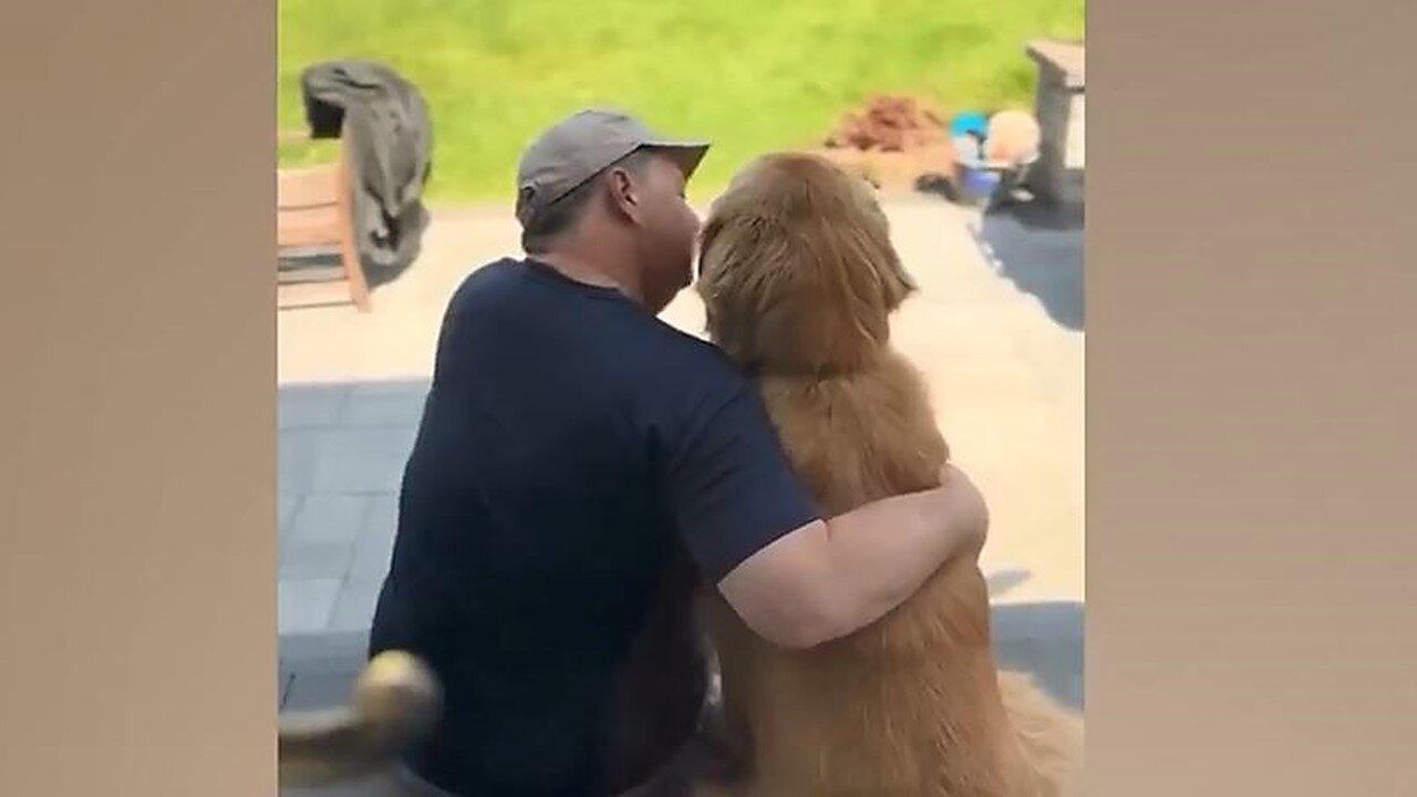 Funniest Animals Videos Part 88