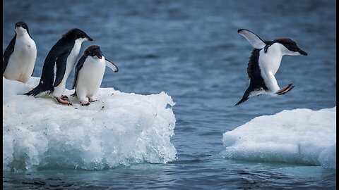 Antarctica! A New Spin!