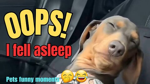OOPS! I fell asleep