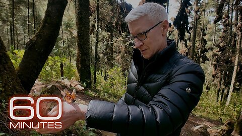 "Anderson Cooper on witnessing the monarch butterfly migration"