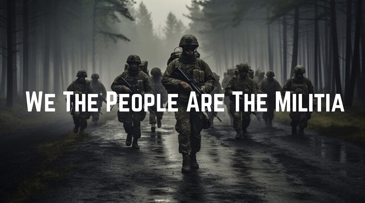 We The People Are The Militia by Stewart Rhodes