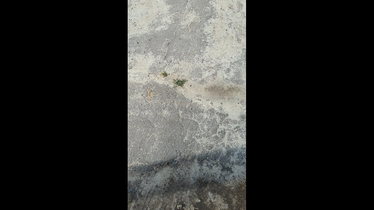 правда життя