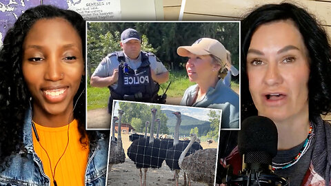U.S. poised to reap the benefits of B.C. ostrich research