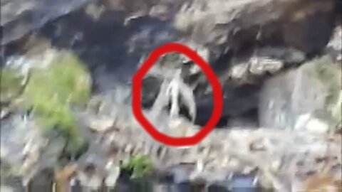 Strange creature fairy-like caught in the frame - Unknown creature
