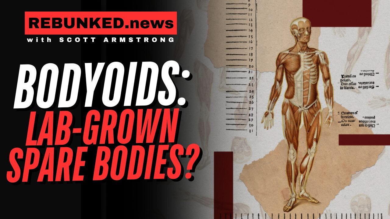 Bodyoids: Lab-Grown Spare Bodies???