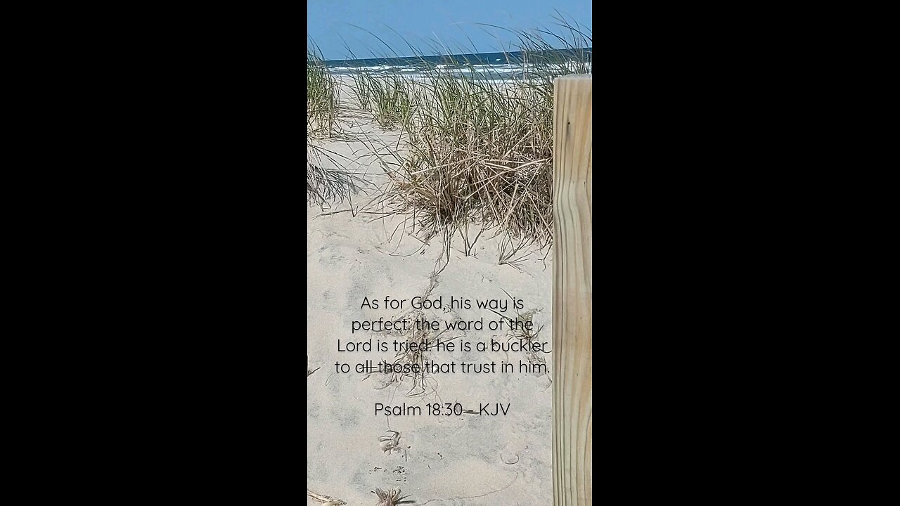 Psalm 18:30 KJV