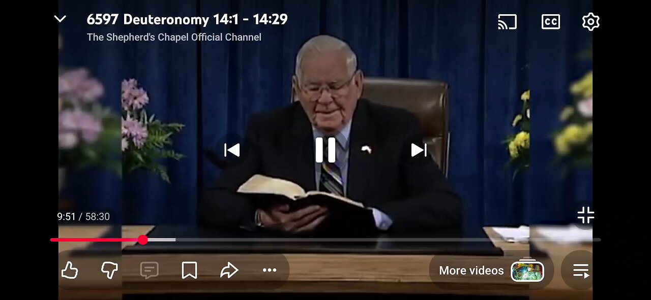 Don't eat pigs or scavengers Deuteronomy 14