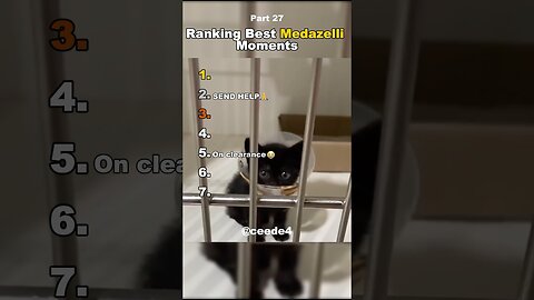 Funniest Medazelli#ranking #medazelli #tiktok