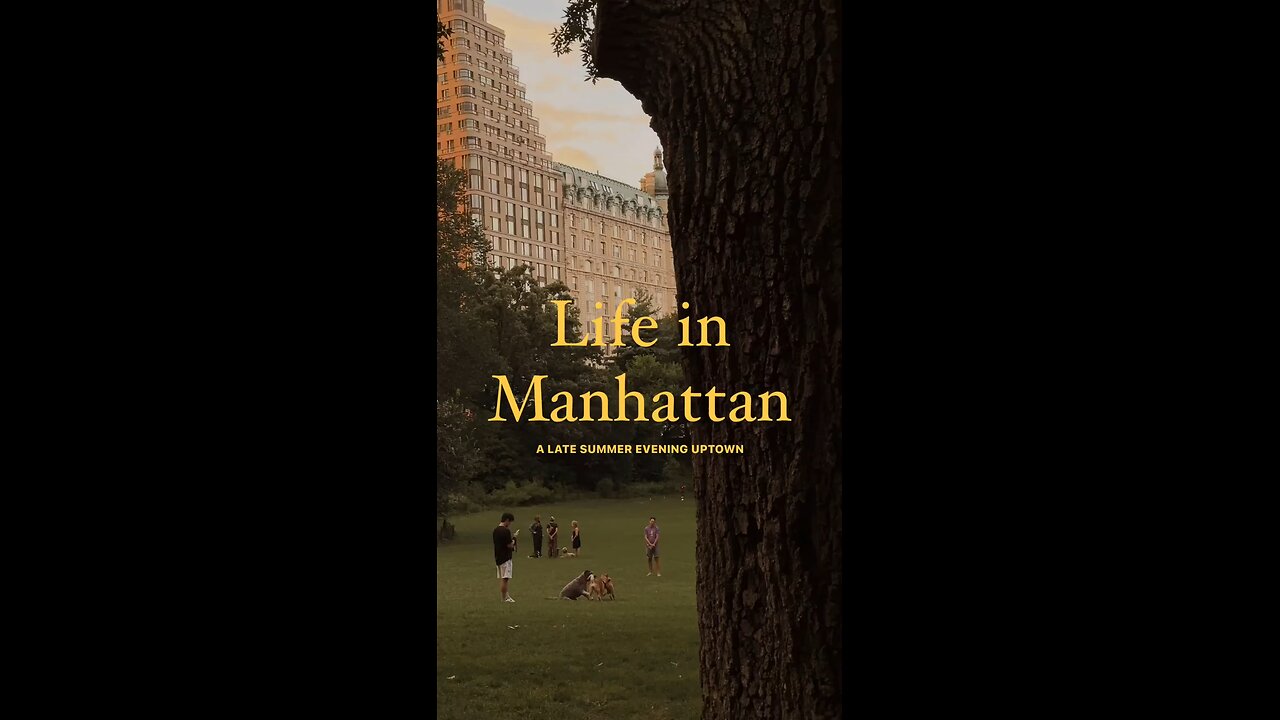 Life in Manhattan New York City travel. destination. USA. United States. New York City.