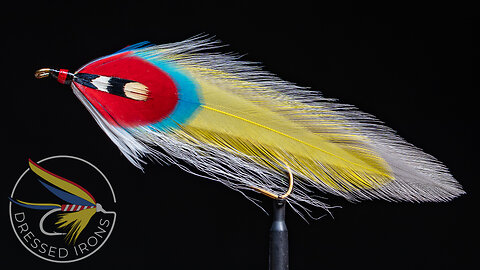 Tying the Will Ketch - Dressed Irons