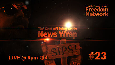 The Cost of Government Crisis - News Warp #23