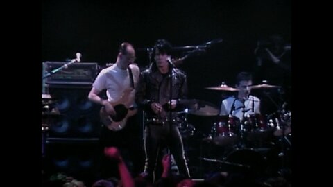 Iggy Pop - "Wild One"