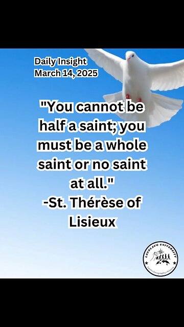 Daily Insight March 14, 2025