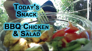 Today's Snack: BBQ Chicken and Salad
